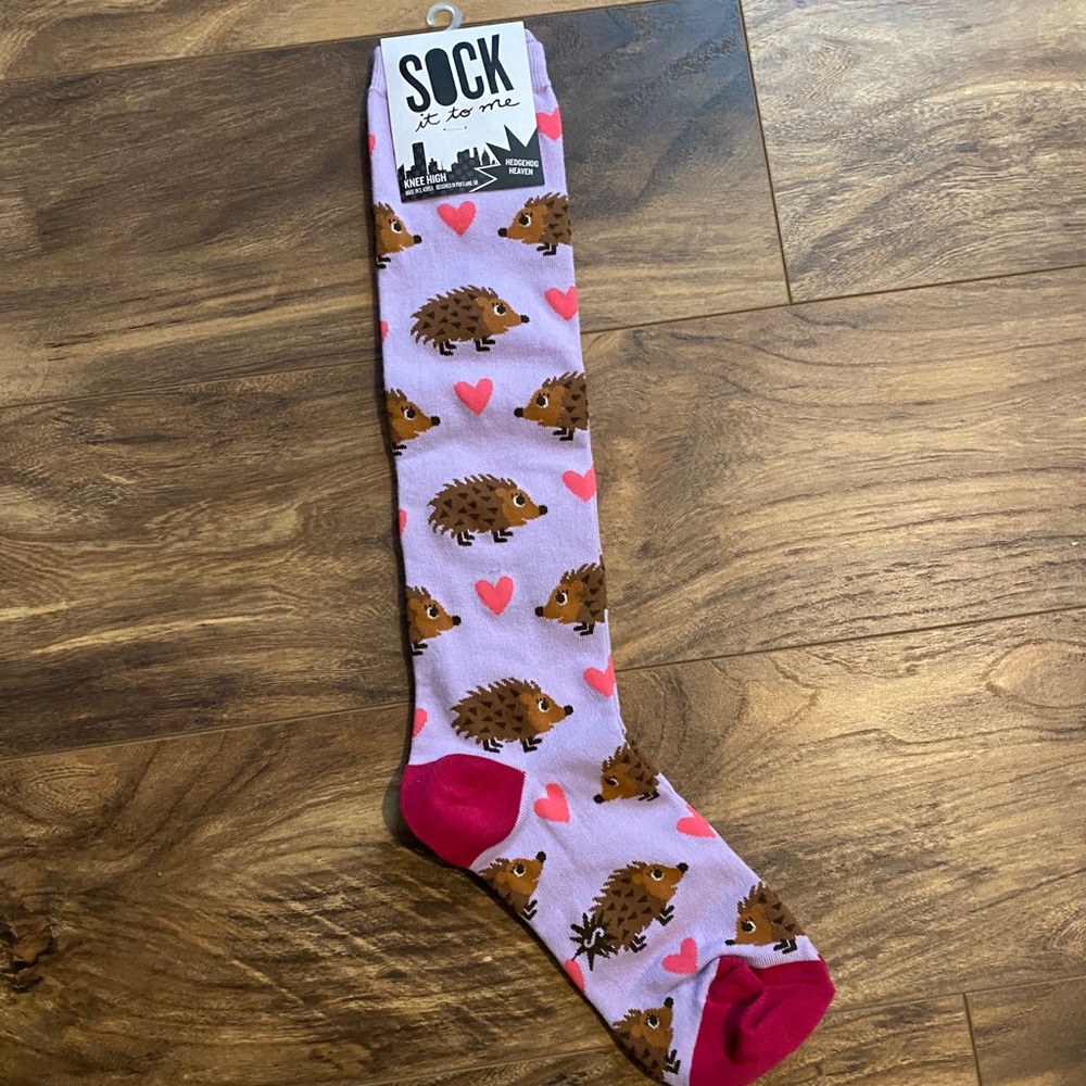NWT hedgehog socks